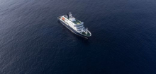 Hantavirus auf Kreuzfahrtschiff »MV Hondius«: Experte erklärt mögliche Mensch-zu-Mensch-Übertragung