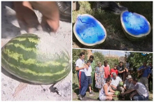 SAMO SU ŽIVINE LUBENICE BILE PLAVE I IMALE UKUS JAGNJETINE?! Skupilo se celo selo, a Srbija gledala neverovatan trik iz Banata za koji je on bio majstor! VIDEO