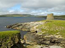 Mousa trap required as rogue rat threatens island's bird population