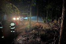 Zweites Mal in einer Woche: Feuerwehren bekämpften Waldbrand in Magland