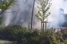 VELIKI POŽAR U LIMANSKOM PARKU! Vatrogasci brzo reagovali u Novom Sadu (VIDEO)
