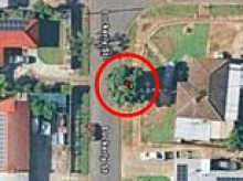 How a single tree has derailed young couple's building plans amid housing crisis - and it's not even on their property