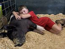 Boy's beloved pet pig Bootsy disappeared... then horrific sight greeted him as he went outside and saw neighbors in aprons next to pot of bubbling water