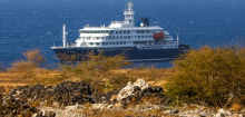 Hantavirus auf Kreuzfahrtschiff »MV Hondius«: Argentinien sucht Infektionsursprung