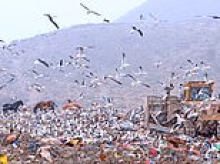 Hantavirus 'ground zero': The seagull plagued rubbish tip that is an unlikely tourist attraction in remote Argentinian town known as 'the end of the world'