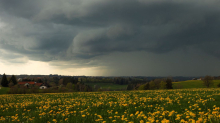 Wetter-Vorhersage: Zum Wochenende wird es wieder wärmer