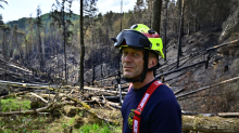 Nationalpark Böhmische Schweiz: Waldbrand in tschechischem Nationalpark gilt als gelöscht
