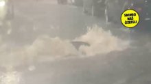 NEVRIJEME U RIJECI  'Tako jako pada da i šahtovi lebde u zraku'