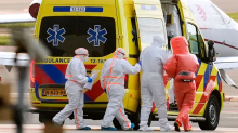 Erkrankungen auf Schiff: Fünf Hantavirus-Infektionen - WHO: Ausbreitungsrisiko gering