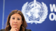 WHO o hantavirusu: Ovo nije početak epidemije ni pandemije