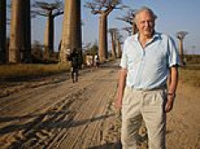 How to travel like Sir David Attenborough  - from Madagascan safaris to snorkelling among 40,000 puffins in Wales