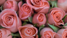 Bitkom-Umfrage: Jeder Fünfte bestellt Blumen zu Muttertag online