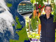'Two or three days and supermarket shelves will be empty' - the worrying reason why more and more families are growing their own fruit and vegetables - and why you probably should too...