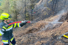 Waldbrand in Eisbach-Rein hält die Feuerwehr weiter auf Trab 