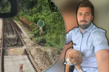 Mašinovođa Milan zaustavio voz zbog kučenceta na pruzi kod Zaječara: Trčala je koliko je noge nose, a onda je usledio gest koji je raznežio Srbiju (VIDEO)