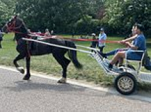Travellers ride their horses and carts just yards from Windsor Castle despite rules banning them from the royals' beloved Long Walk