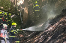 Feuerwehr im Einsatz: Waldbrand in Kärnten ausgebrochen