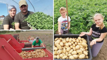 VELIKO SRCE OPG-a 'I mi smo lani izgubili urod, zato sada doniramo 130 kg krumpira'