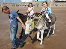 Donkeys banned from seaside resort's beach as council slams door on 100-year-old tradition