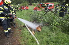 Großlobming: Baum hatte Feuer gefangen: Feuerwehr verhinderte Waldbrand