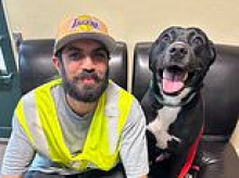 Adorable puppy reunited with owner 15 months after LA wildfires burned down their home