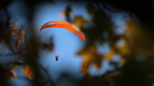 Bergwacht im Einsatz: Gleitschirmflieger bleibt in Baum hängen