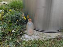 Dog walker accidentally picks up World War Two bomb on UK beach after mistaking it for a 'nice looking bottle' - before it EXPLODES in his hands