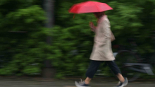 Wetter: Regnerischer Wochenstart in Bayern
