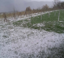 STIŽE SNAŽNO NEVREME, RHMZ PALI NARANDŽASTI METEO ALARM: Ovi delovi Srbije biće na najjačem udaru, padaće i grad (foto) 