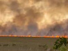 Fire crews battle huge 5,000-acre Everglades brush blaze in race to stop rapidly spreading flames from burning nearby homes