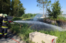 Waldbrand verhindert: Anrainer beobachtete Rauch und alarmierte Wehr