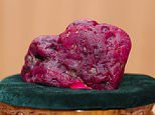Giant 11,000 carat ruby that weighs as much as a small DOG is discovered in Myanmar