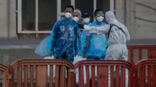 Ausbruch auf Schiff: Hantavirus-Symptome einer Passagierin wurden offenbar nicht ernstgenommen