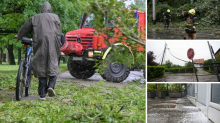 250 dojava u Zagrebu i okolici: Čovjek ozlijeđen u padu grane, stablo palo na auto u vožnji!