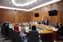 Stevanović predlagal, da se Levici in Vesni dodelijo dodatna mesta v želenih odborih