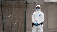 Faktencheck: Was das Hantavirus von der Corona-Pandemie unterscheidet