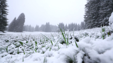 Wettervorhersage: Wetter bleibt ungemütlich - auch am Feiertag