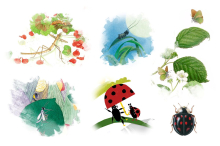 Lepota čudenja nad majhnim: ilustracije žuželk med znanostjo in domišljijo