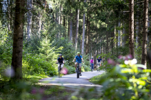 Radtourismus: So tritt der steirische Tourismus heuer in die Pedale