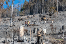 Beim größten Waldbrand Kärntens gibt es immer noch kein „Brand aus“