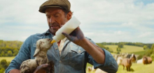Hugh Jackman in »Glennkill: Ein Schafskrimi«: Mäh! Mäh! Mord!