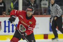 Eishockey-WM: Österreich beginnt in Zürich gegen die Briten