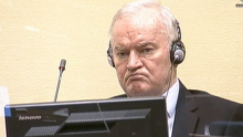 PETRONIJEVIĆ: Santani Savet bezbednosti može da naredi da pusti generala Mladića