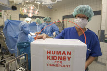 Weltweite Top-Quote: Kärnten ist ein Musterbeispiel für das Organspenden