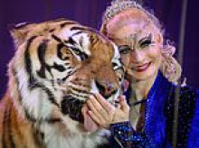 Tiger is shot dead in Germany after escaping from its 'Tiger Queen' owner and seriously injuring pensioner
