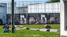 Tiger-Ausbruch: Behörden: Tigerhaltung verstößt gegen Mindestanforderungen