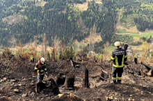 Nach Waldbrand im Lesachtal: Forstexperten fordern mehr Unterstützung