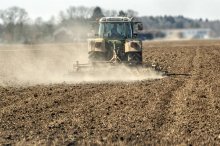 Grundwasser: Gewitterregen brachte unter der Erde kaum Erholung