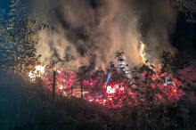 Wiese stand in Flammen: Feuerwehr konnte Waldbrand verhindern