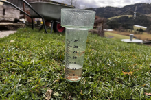Aufgrund der Trockenheit: Appell zum sorgsamen Umgang mit Wasser, bei Landwirten wächst Sorge
